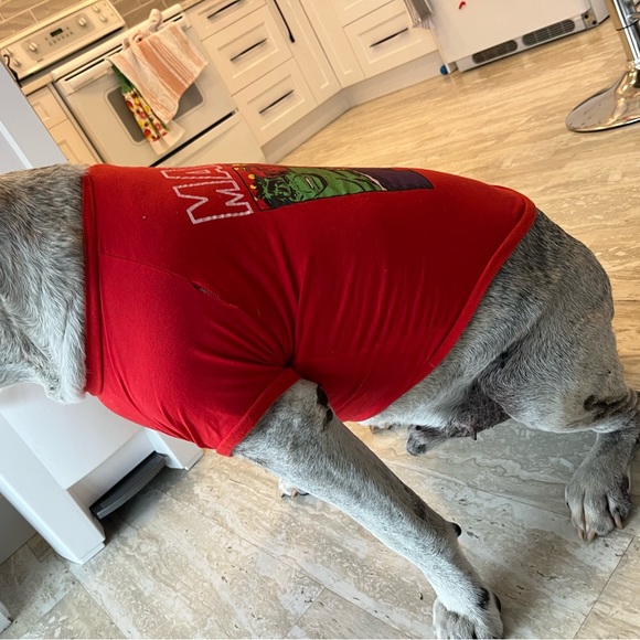 Dogs marvel tshirt - Picture 9 of 10